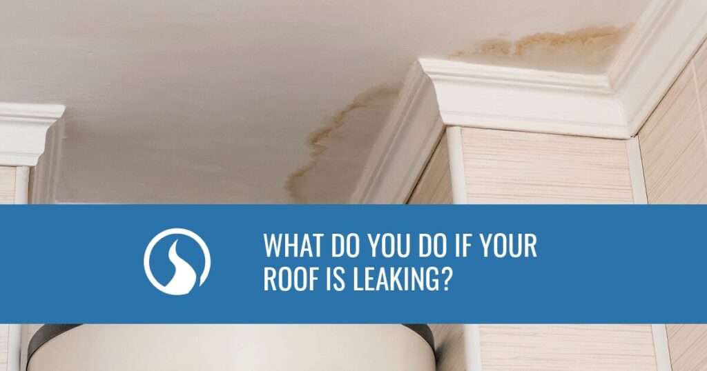 What Do You Do if Your Roof Is Leaking?