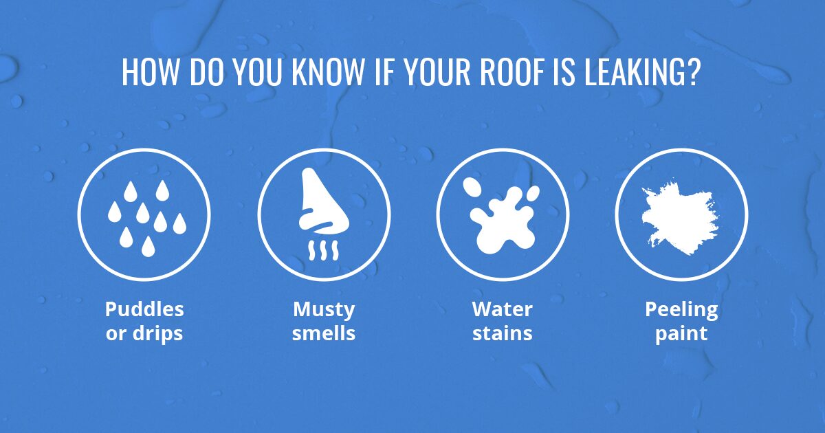 How Do You Know if Your Roof Is Leaking?