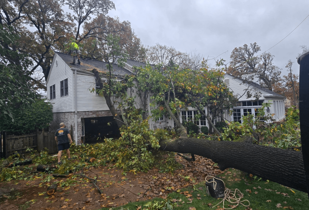 Coldstream_Exteriors_Emergency_Roof_Repair_Company