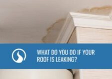 What Do You Do if Your Roof Is Leaking?